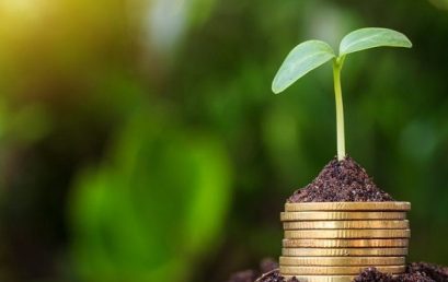 Investible announces pre-seed investment in SaaS startup Tikpay
